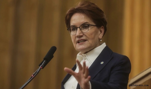 Meral Akşener'den Erdoğan'a sert Sinan Ateş cinayeti tepkisi! "Bostan korkuluğu musun, kendine gel"