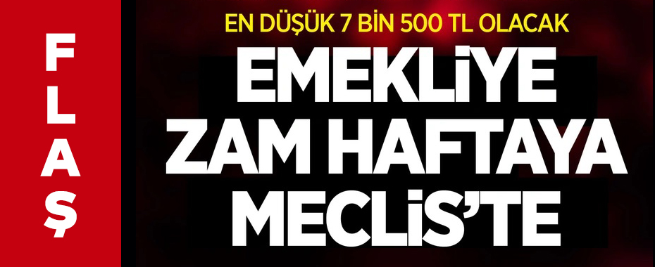 Emekli maaşlarına zam bu hafta Meclis'e geliyor!