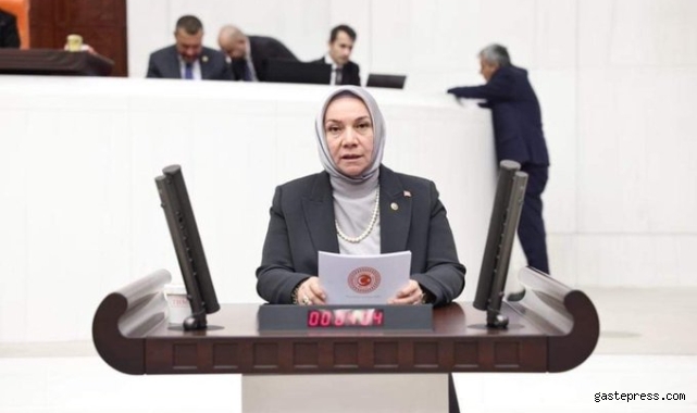 Hülya Nergis yeniden aday adayı!