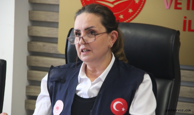 İl Müdürü Livdumlu: "Kayseri büyük oranda afet bölgesi ilan edilecek diye düşünüyorum"