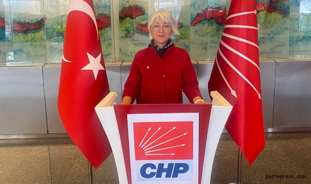 Sema Karaoğlu, CHP Milletvekilliği aday adaylığına başvurdu!