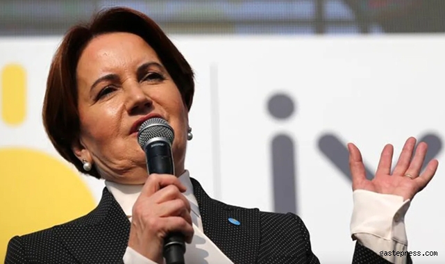 Meral Akşener'den Cumhurbaşkanı Erdoğan'a 'fotoğraf' tepkisi!