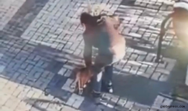 14 yaşındaki çocuk kediyi mala ile dövdü!