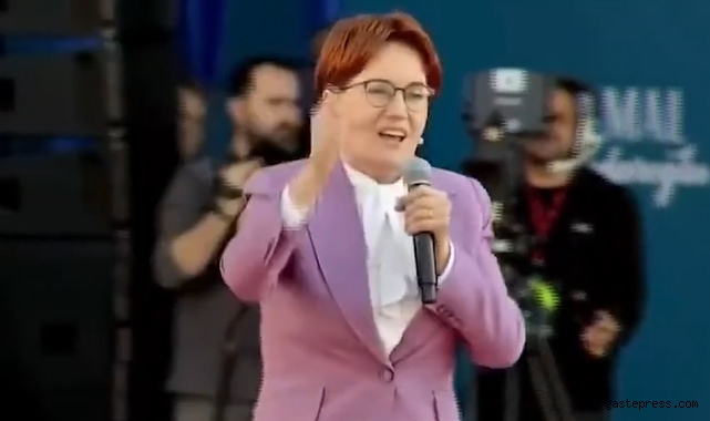 Meral Akşener: 'Her aileden bir oy istiyorum'