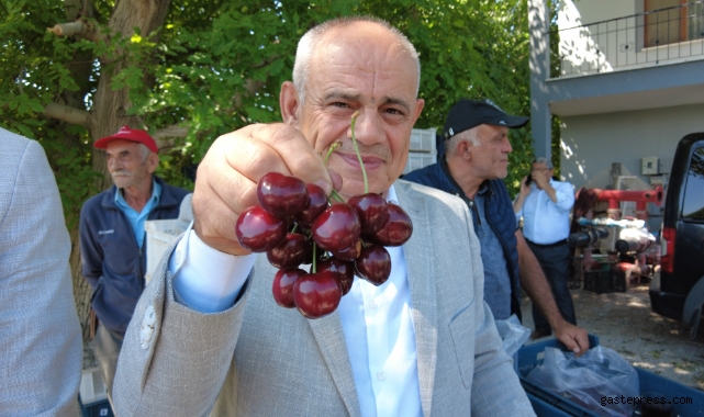 Dünya sofralarını süsleyen Yahyalı kirazının hasadı başladı!