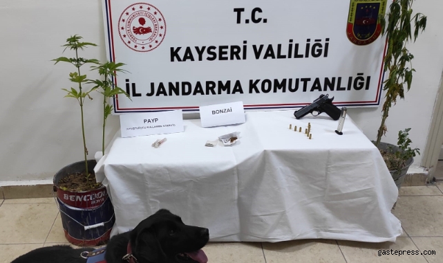 Kenevir Yetiştiren Şahıs Yakalandı!