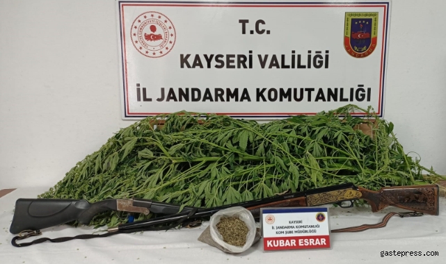 Evin bahçesinde kenevir bulunan şahıs yakalandı!