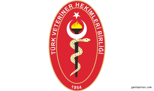 Veteriner hekimler seslerini duyurmaya çalışıyor, "Darp ediliyoruz, öldürülüyoruz"