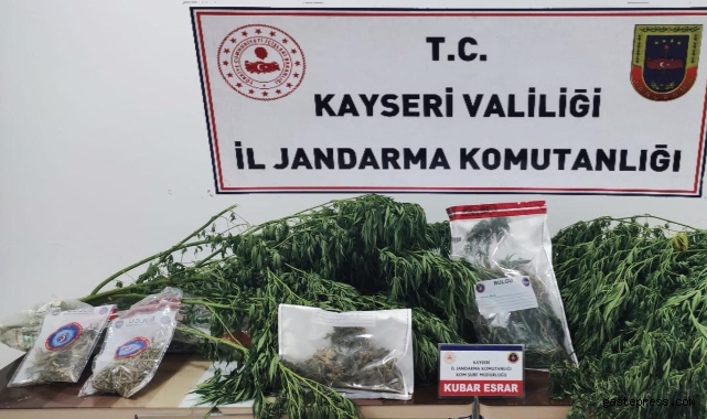 Jandarmadan bağ evine uyuşturucu operasyonu!