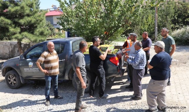 Kayseri İncesu üzümü depremzedelere dağıtıldı!