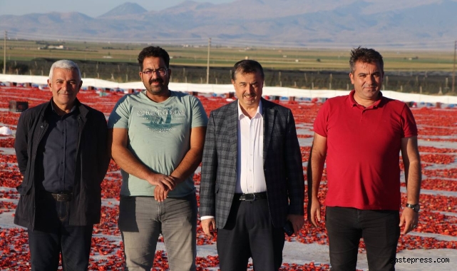Kayseri Yeşilhisar’da kurutulan domatesler yurt dışına ihraç ediliyor