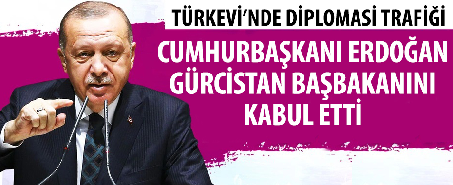 Türkevi'nde Cumhurbaşkanı Erdoğan'ın diplomasi trafiği!