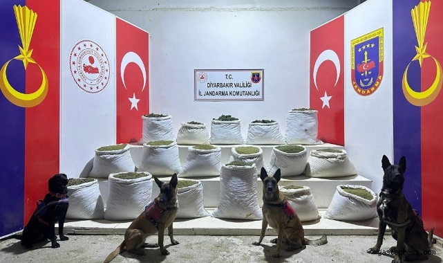 Diyarbakır’da 2 milyon 64 bin kök kenevir ve skunk ile 812 kilo esrar ele geçirildi!