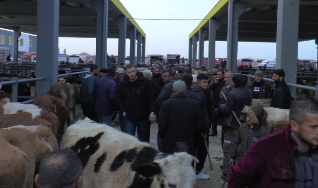 İç Anadolu’nun en büyük Canlı Hayvan Borsası’na üreticilerden yoğun ilgi!