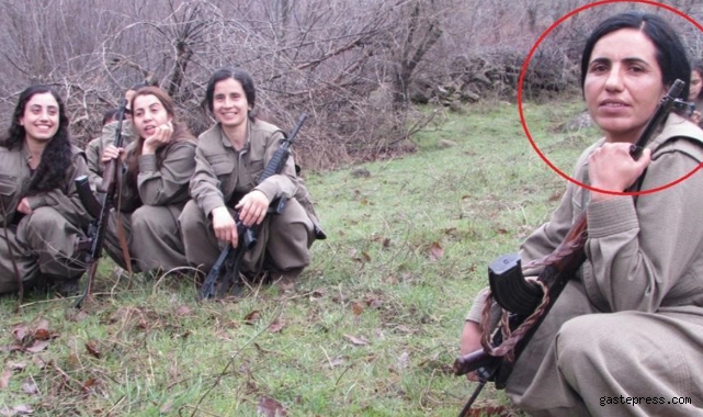 MİT terör örgütü PKK'nın sözde Toplumsal Alan Sorumlusu Gülsüme Doğan'ı etkisiz hale getirdi!