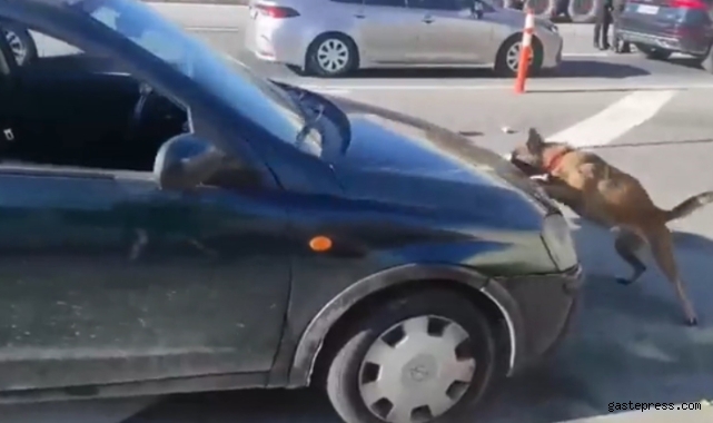 Uyuşturucuyu aracın motor kaputuna zulalamışlar!