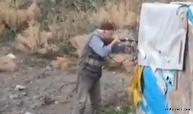 Yolun ortasında 2 köpeği vurdu!