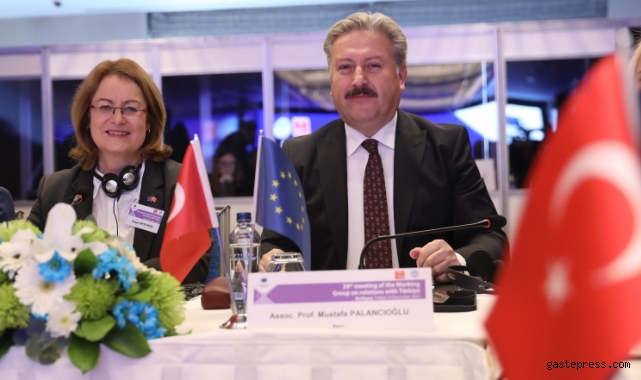 Avrupa Konseyi'nden Başkan Palancıoğlu'na teşekkür!