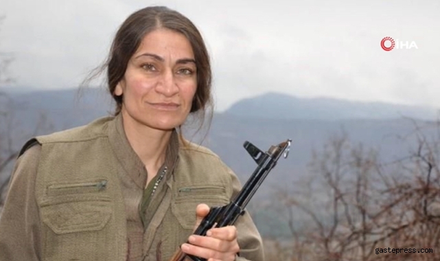 MİT'ten nokta operasyon!
