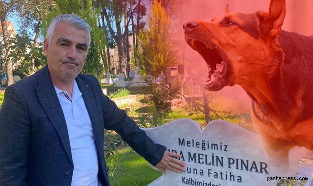 Türkiye’de sokak hayvanlarıyla ilgili acı tablo: 21 ayda 40’ı çocuk 92 kişi hayatını kaybetti!