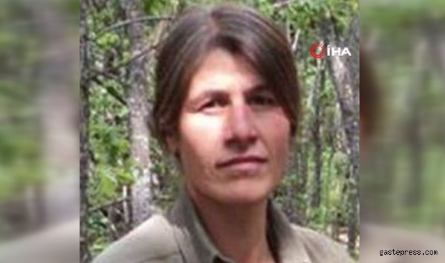 MİT, Peyman Bagok kod adlı Hülya Mercen’i etkisiz hale getirdi!