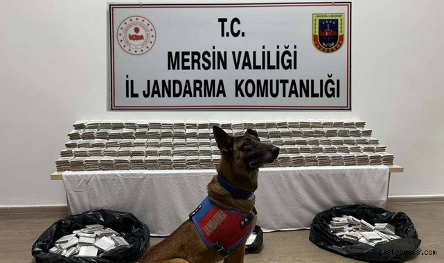 Mersin'de 61 bin 700 adet kaçak makaron ele geçirildi!
