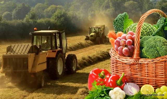 Tarım Fuarı OSB’de başlıyor!