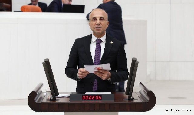 CHP Kayseri Milletvekili Aşkın Genç, 'Memlekette her şeyin çivisini çıkardınız'