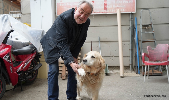 Köpeğin doktora havlaması sahibine 700 bin TL'ye patladı!