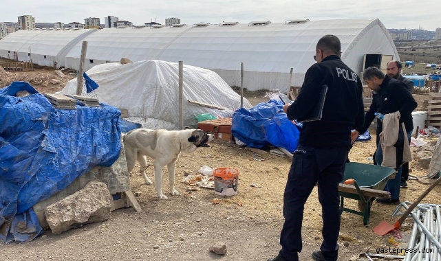 Köpeğin ısırdığı çocuk ağır yaralandı!