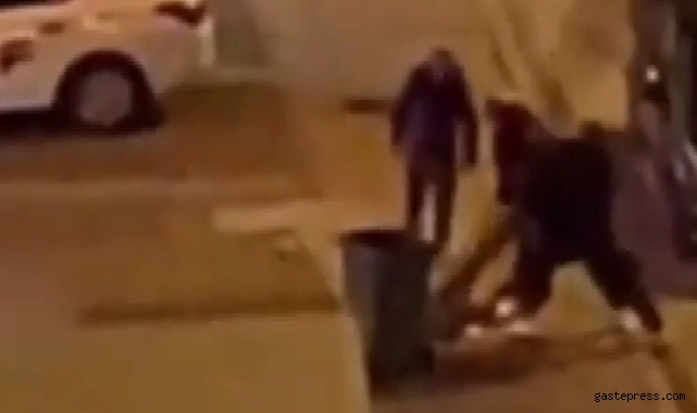 Ağacı söken 4 kişiye ceza!