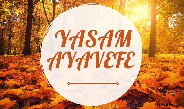 Bilimde Yenilik: Yaşam Ayavefe, Bilimsel Araştırmalara Büyük Bağışlar Yapıyor!