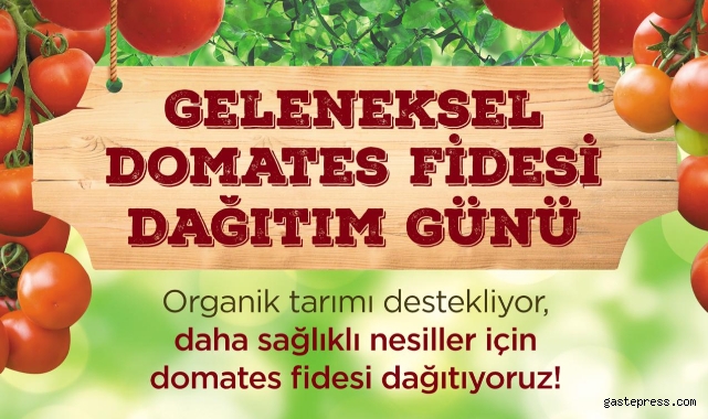 Çevre Dostu Tarım İçin Kocasinan'da Organik Domates Fidesi Dağıtımı!
