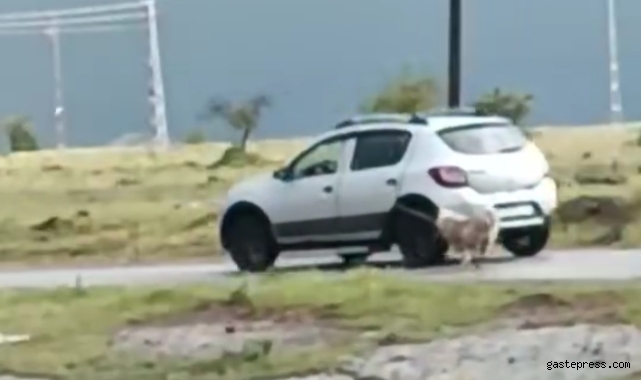 Köpeği otomobile iple bağlayıp sürükledi!