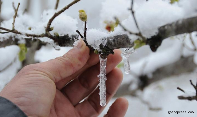 Meteorolojiden Kayseri için zirai don uyarısı geldi!
