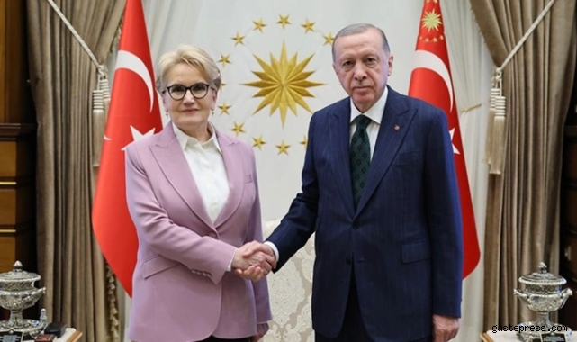 Hande Fırat'tan Meral Akşener kulisi: Benim duyduğum...