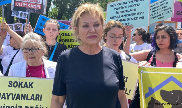 KAYHAKDER Başkanı Uzel: “Hayvanların üzülmesine sebep olmak kul hakkı değil midir”