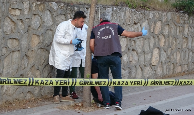 İş adamı iple ağaca asılı halde ölü bulundu!