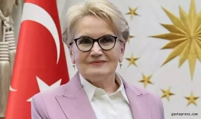 Meral Akşener'den tekzip talebi: Oyum...