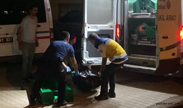Sevgili cinayeti: Erkek arkadaşını bıçaklayarak öldürdü!