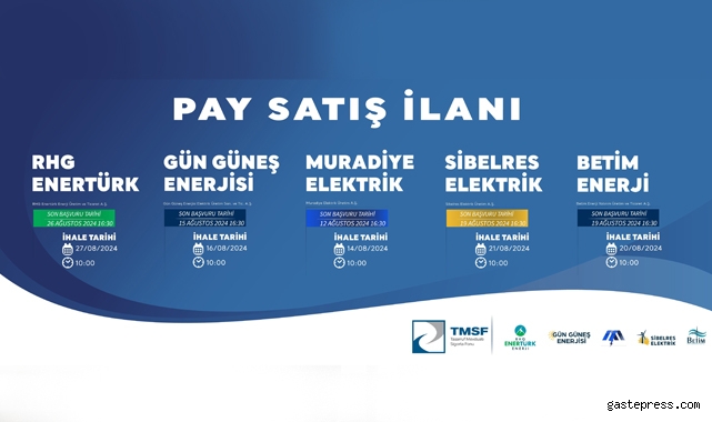 Yenilenebilir enerjide dev satış: TMSF enerji şirketlerini ihaleye çıkardı!