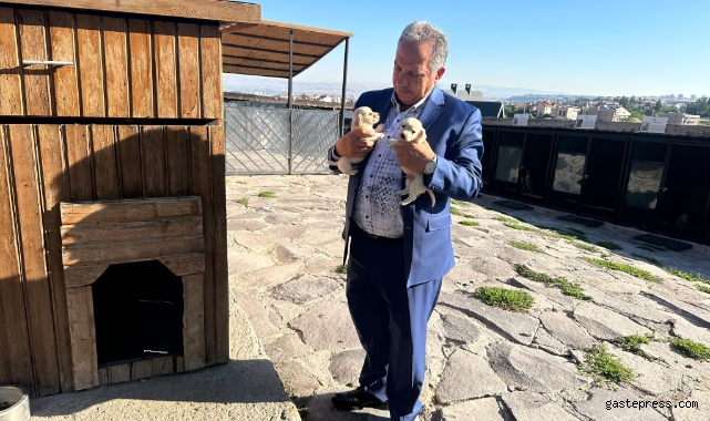 Ali Dağı Mini Çiftliği'nin Sevimli Patileri İlgi Odağı Oldu!