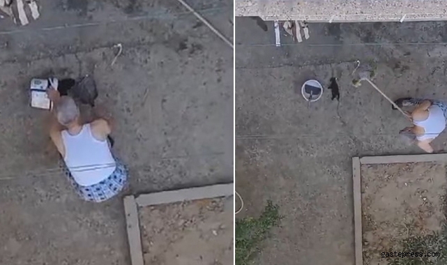 Manisa'da vahşet: 3 yavru kediyi fırça sapıyla öldürdü!