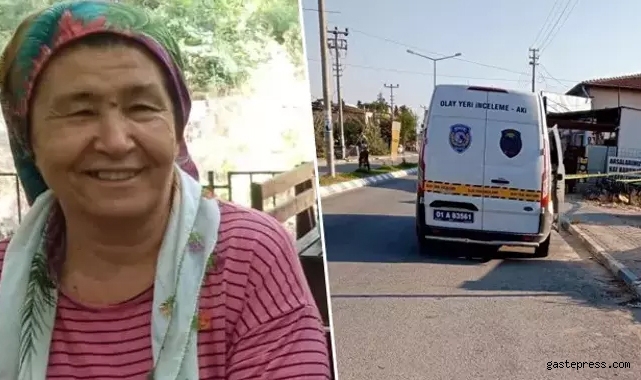 Parke taşıyla eşini öldürdü!