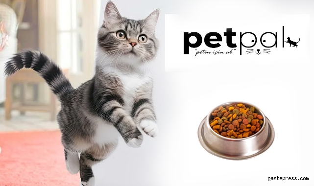 En İyi Yavru Kedi Maması Nedir?