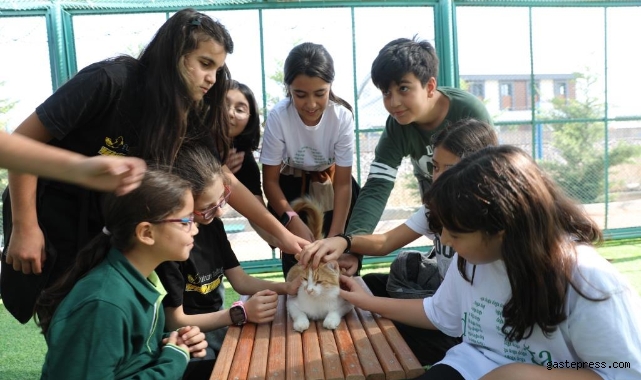 Kedi kasabasında 4 Ekim coşkusu: Minikler kedilerle buluştu!