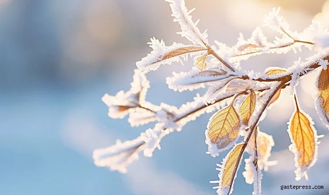 Meteoroloji Kayseri'den ‘zirai don’ uyarısı!