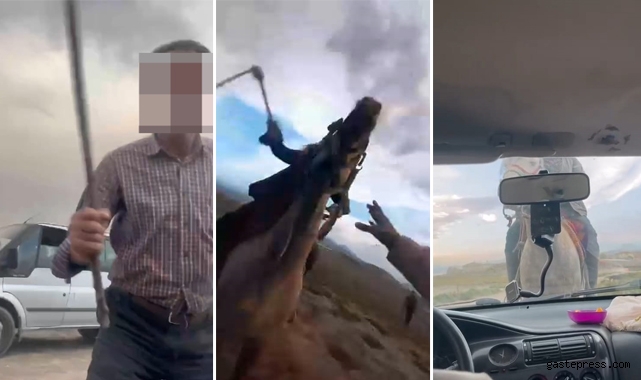 Yılkı atlarıyla fotoğraf çekilmek isteyen aileye zorbalık yapan 4 kişi serbest bırakıldı!