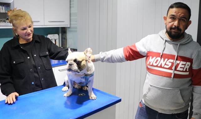 Kayseri’de köpeği aydınlatma direğine vuran şüpheli yakalandı!