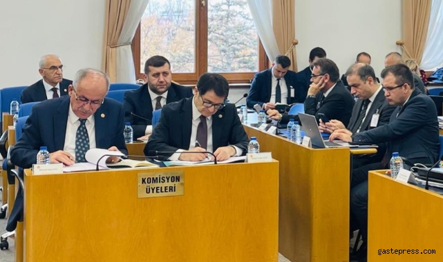 MHP Kayseri Milletvekili Baki Ersoy, TBMM Plan ve Bütçe Komisyonunda Konuştu!